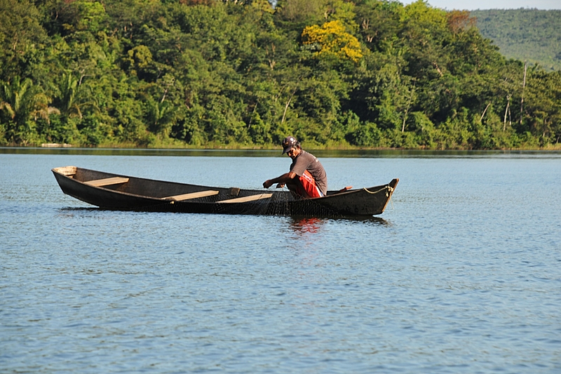 Free App to Enhance Your Fishing Experience